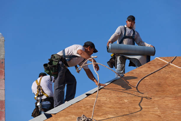 Quick and Trustworthy Emergency Roof Repair Services in Virginia Beach, VA