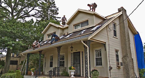 Roof Gutter Cleaning in Virginia Beach, VA